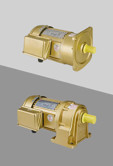 永坤中型齒輪減速機(jī) 